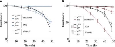 Activin and BMP Signaling Activity Affects Different Aspects of Host Anti-Nematode Immunity in Drosophila melanogaster